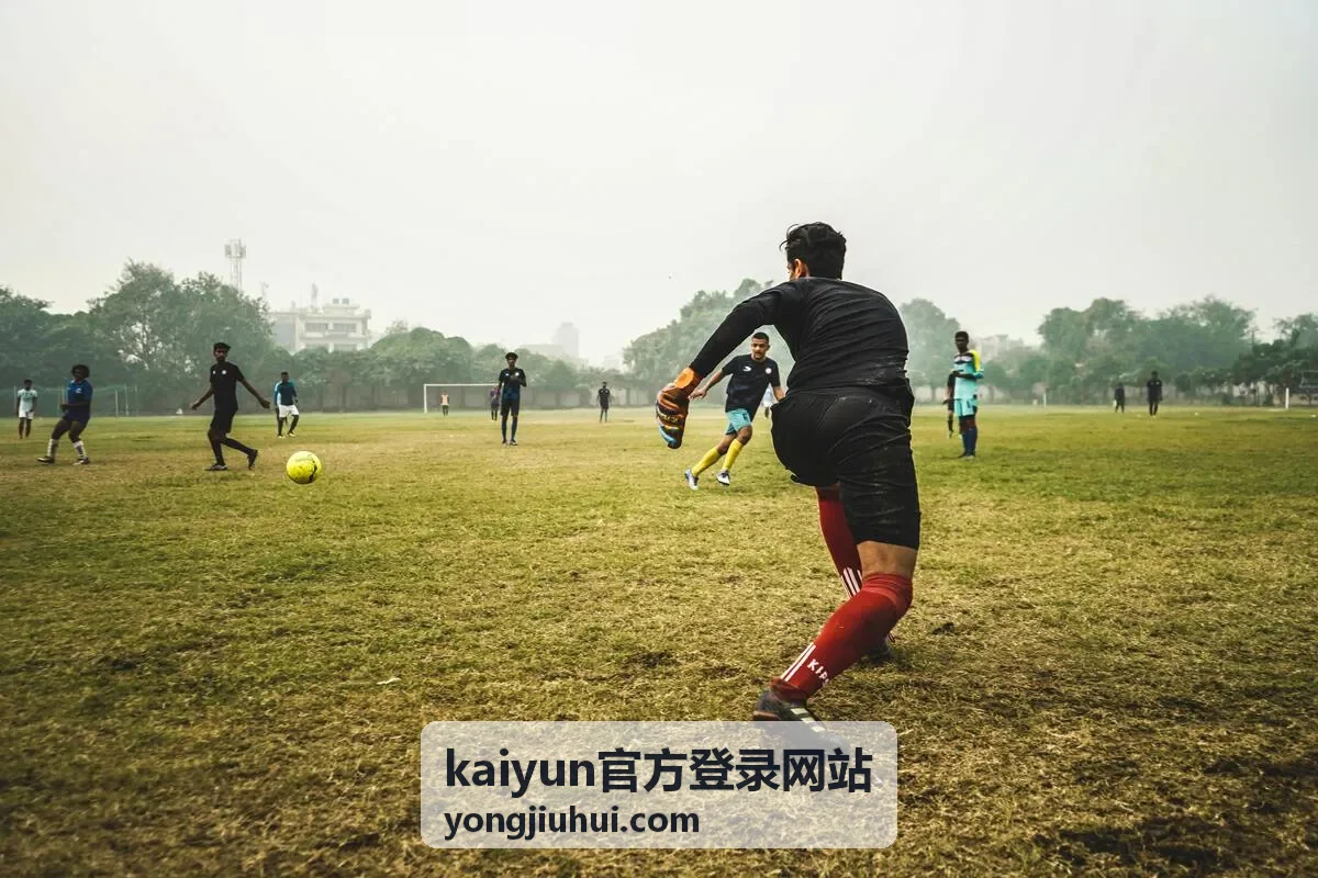 kaiyun官方登录网站登录与账号设置说明配图