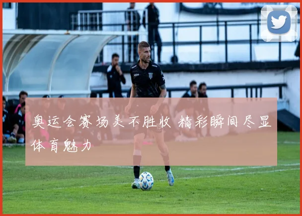 奥运会赛场美不胜收 精彩瞬间尽显体育魅力