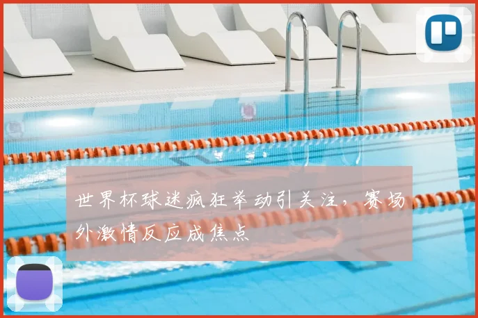 世界杯球迷疯狂举动引关注，赛场外激情反应成焦点